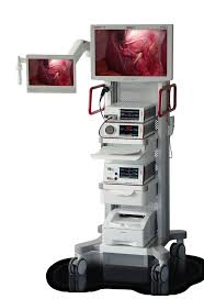 WOLF ENDOCAM Logic 4K